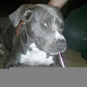 Meet your Posher, Cory